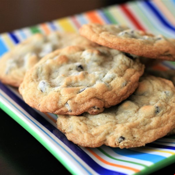 best chocolate chip cookies nytimes
