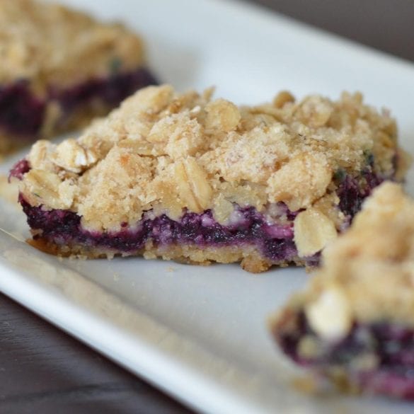 Blueberry Squares Skinny & Tasty Recipes