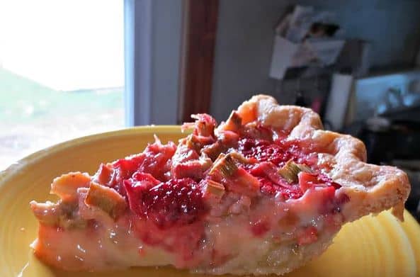 Strawberry Rhubarb Custard Pie