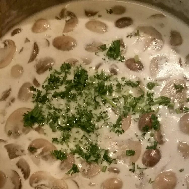 Cream of Mushroom Soup