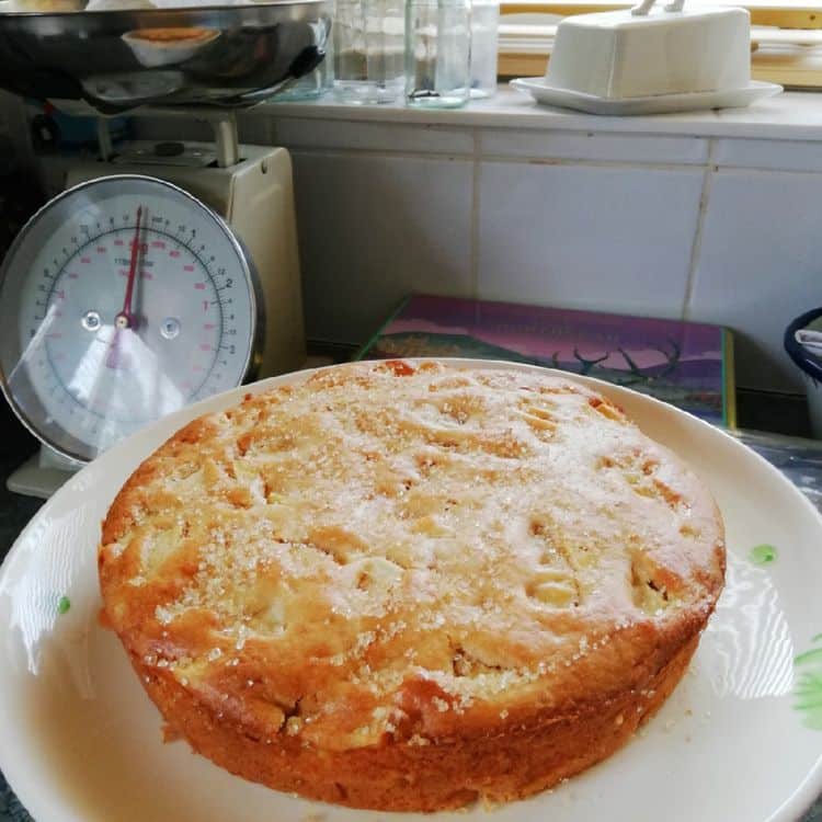 Only One Bowl Apple Cake
