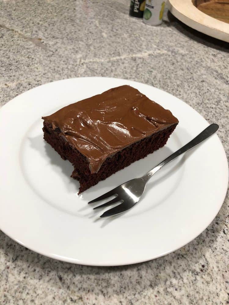 Chocolate Depression Cake
