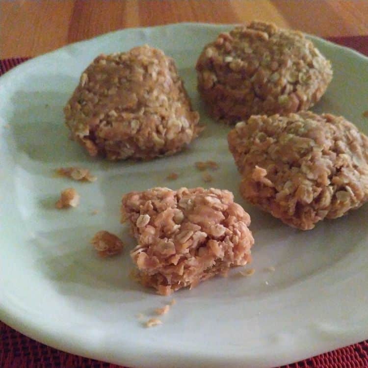No-Bake Peanut Butter Cookies