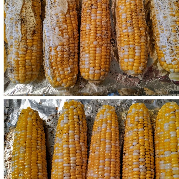 Corn on the Cob in the Oven