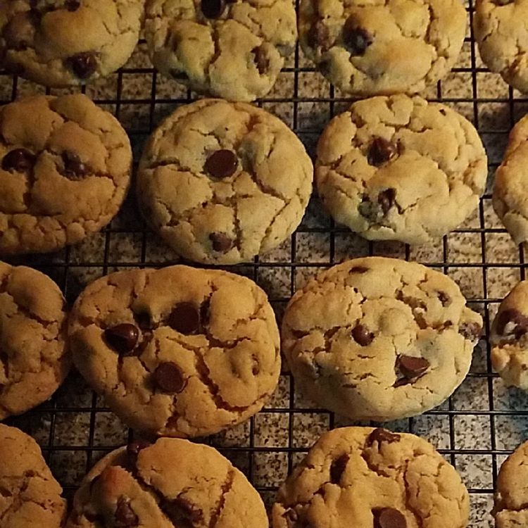 BISQUICK CHOCOLATE CHIP COOKIES