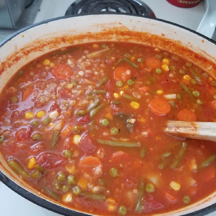 Vegetable Soup